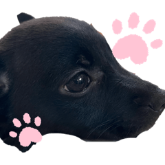 yunoa_20260326231935