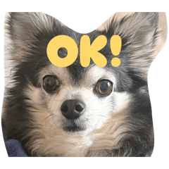 karaaaaan_20260326232916