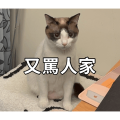 《搭波：情緒管理零分》