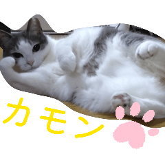 minmi_20260326233944