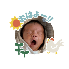 sorapu_20260326165745