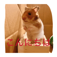 Tomokun67_20260326211701