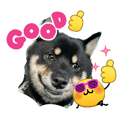 santama_20260326212356