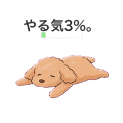 RINON_20260326212630