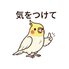 Sora&Kuu_20260327002301