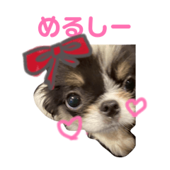 Yume Han_20260327003858