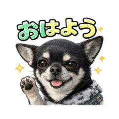 poohchan_20260327003652