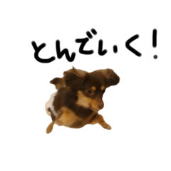 natsumikn_20260327004840