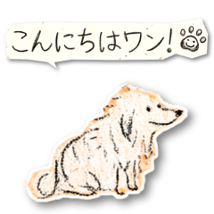 いろんないぬぅー