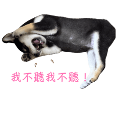 兩萬の貼圖