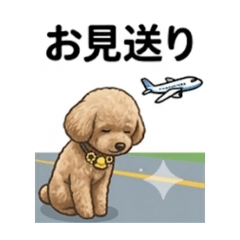 sasshi_20260326172900