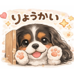 anjukamo_20260326223934