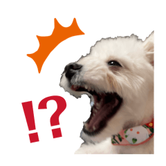 gotty_20260326223852