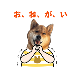 omusubi_20260327074503