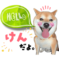 Haku's owner_20260327073918