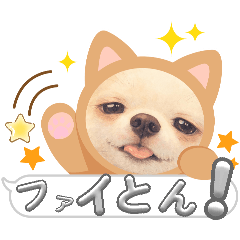 yusei_20260327075200