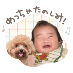 meso-stamp_20260327124735