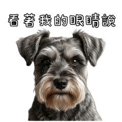 曹吉乖 你知道的台灣了!