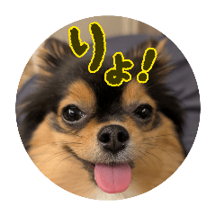 mizum_20260326235521