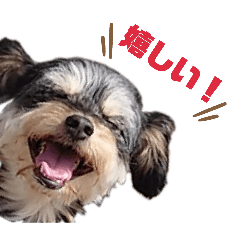 oniiiii_chan_20260326234835