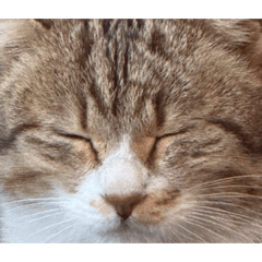 Yuuuuuuuta_20260326235607