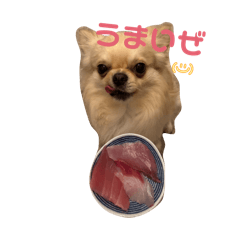 amuma_20260327103737