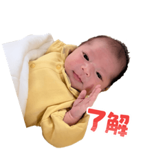 cream_20260326181152