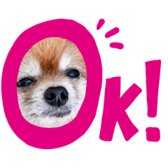 chieko_20260326182013