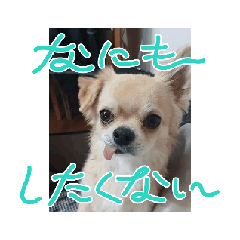 endox_20260327130415