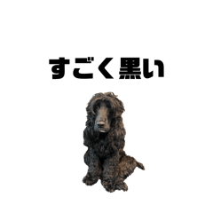 kaori_20260327114806