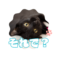 Kaori stamp_20260327120324