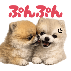 DOG STAMP ORDER_20260327120040