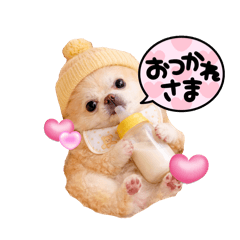 enason_20260327120246