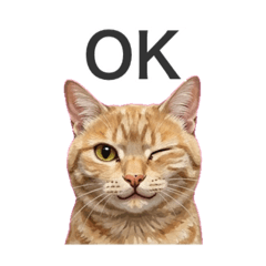 Shiiii_20260327120716