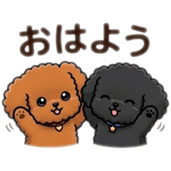 popola_20260327124832