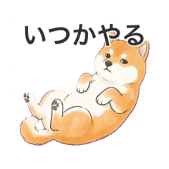 RINON_20260326193645