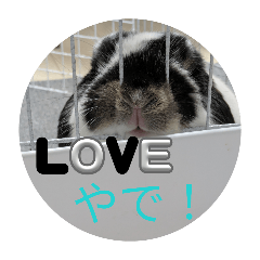 yukayuka_20260327130232