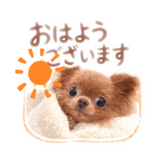 sayasa_20260327131204