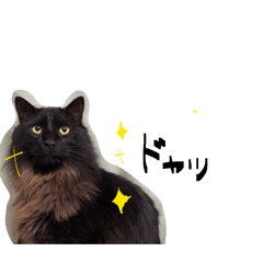 honyohonyo_20260327081203