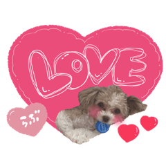 Yunyun_20260327144522