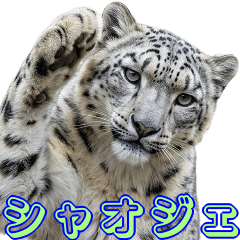 A realistic Xiaojie greeting Sticker!