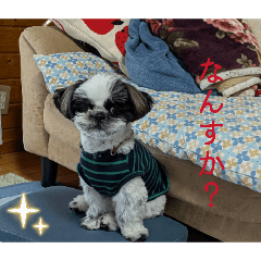 mieko_20260326215818