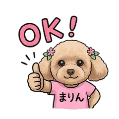 Marin the Quirky Dog