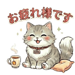 SORA: The Gym's Mascot Cat