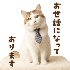 Polite Fluffy Cat Everyday Stickers