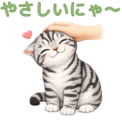 Keineko's American Shorthair [Revised]2