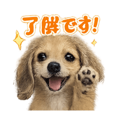 tomato_20260327032844