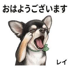 Rei Original Stickers Pack Vol.1