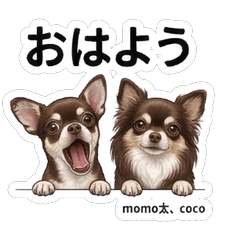 Cute Duo Daily Stickers Vol.1