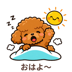 Fluffy Poodle: Happy Daily Life